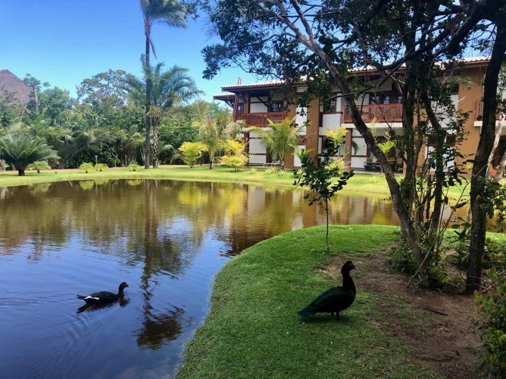 "Simplesmente Um Paraiso" Praia do Forte Luaran gambar